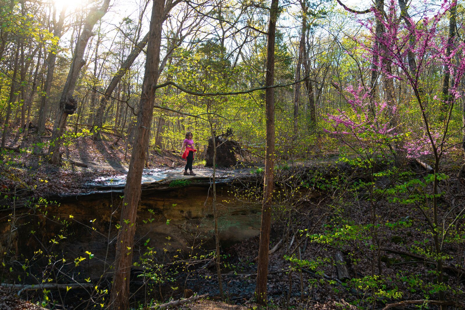 Don Robinson State Park